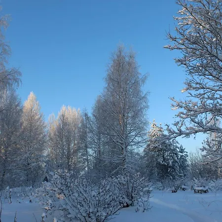 Viisi Leipaeae Tokrajaervi