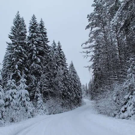 Viisi Leipaeae Tokrajaervi