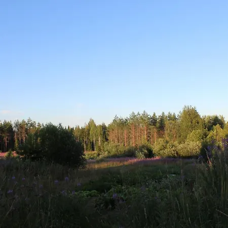 Viisi Leipaeae דירה