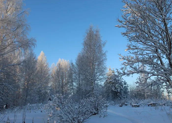 Viisi Leipaeae Tokrajaervi