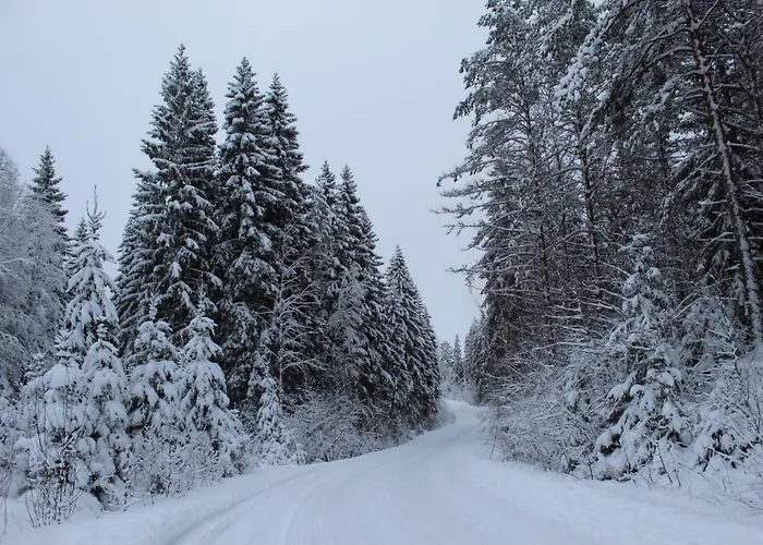 Viisi Leipaeae Tokrajaervi